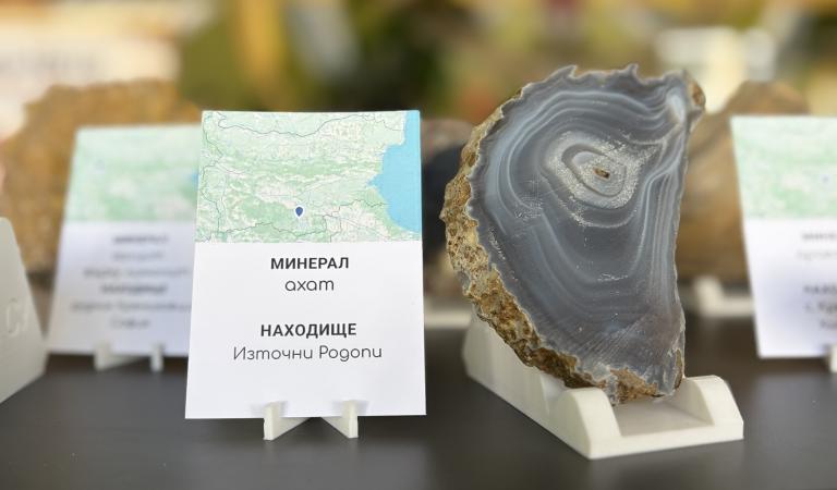 Експозиция